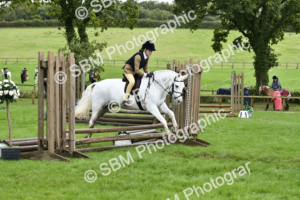 SBM_41554 - S32 - Mountain & Moorland Working Hunter Pony
