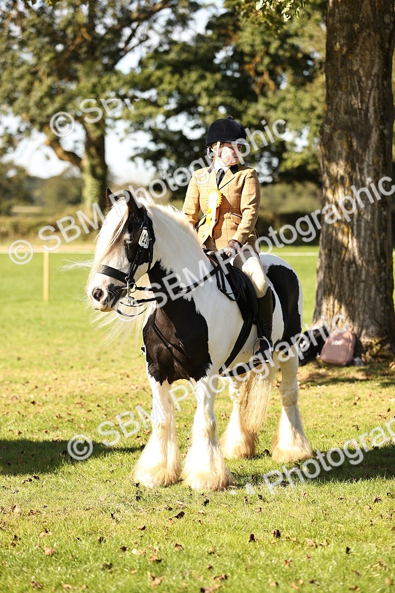 SBM_19186 - S3 - TSR Ridden Pony Showing