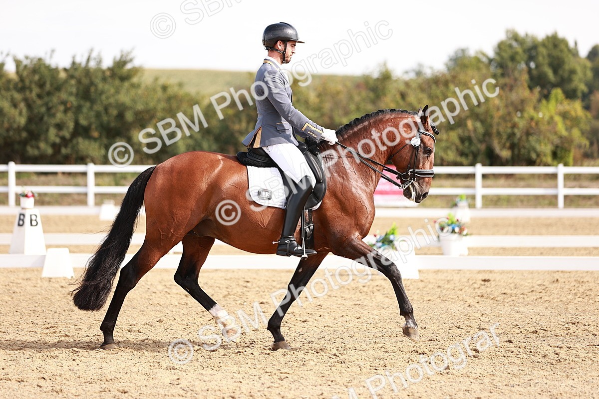 SBM_017590 - Class 11 - Advanced Medium 6