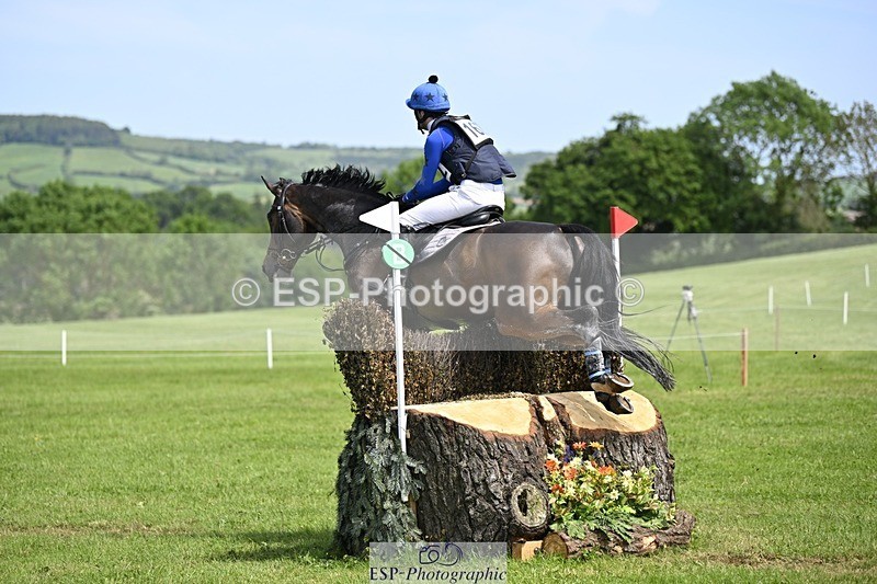 240525-141131-14886 - 162-HAZZLE_DAZZLE-Henry_Hobby