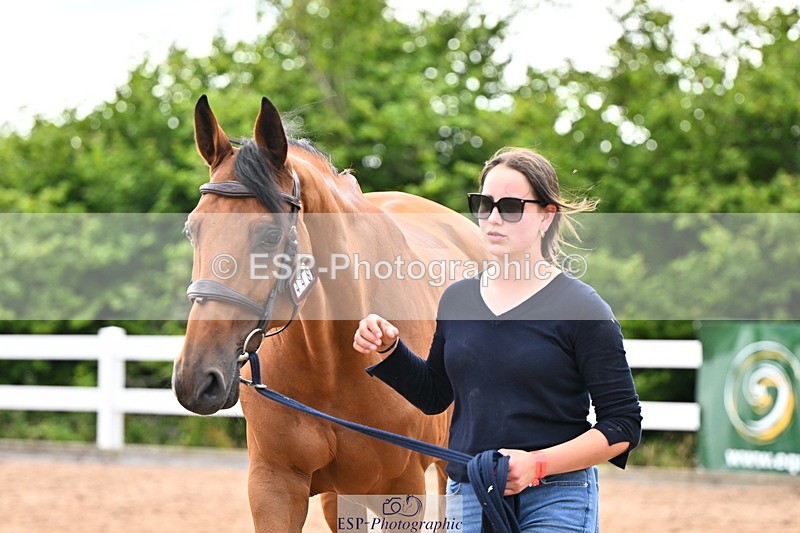 240718A-105328-02046 - Trot Up 2pm to 3pm - This folder is not in time order