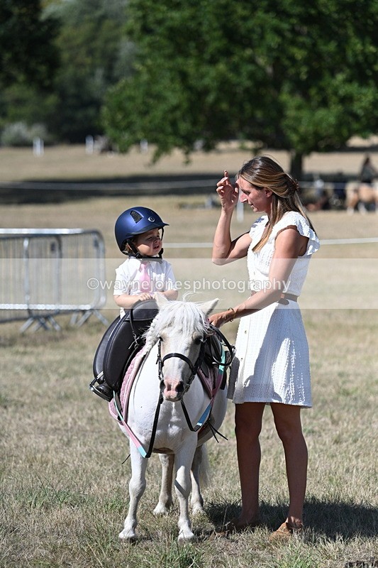 WJ7_1350 - Class 41 Prettiest Mare