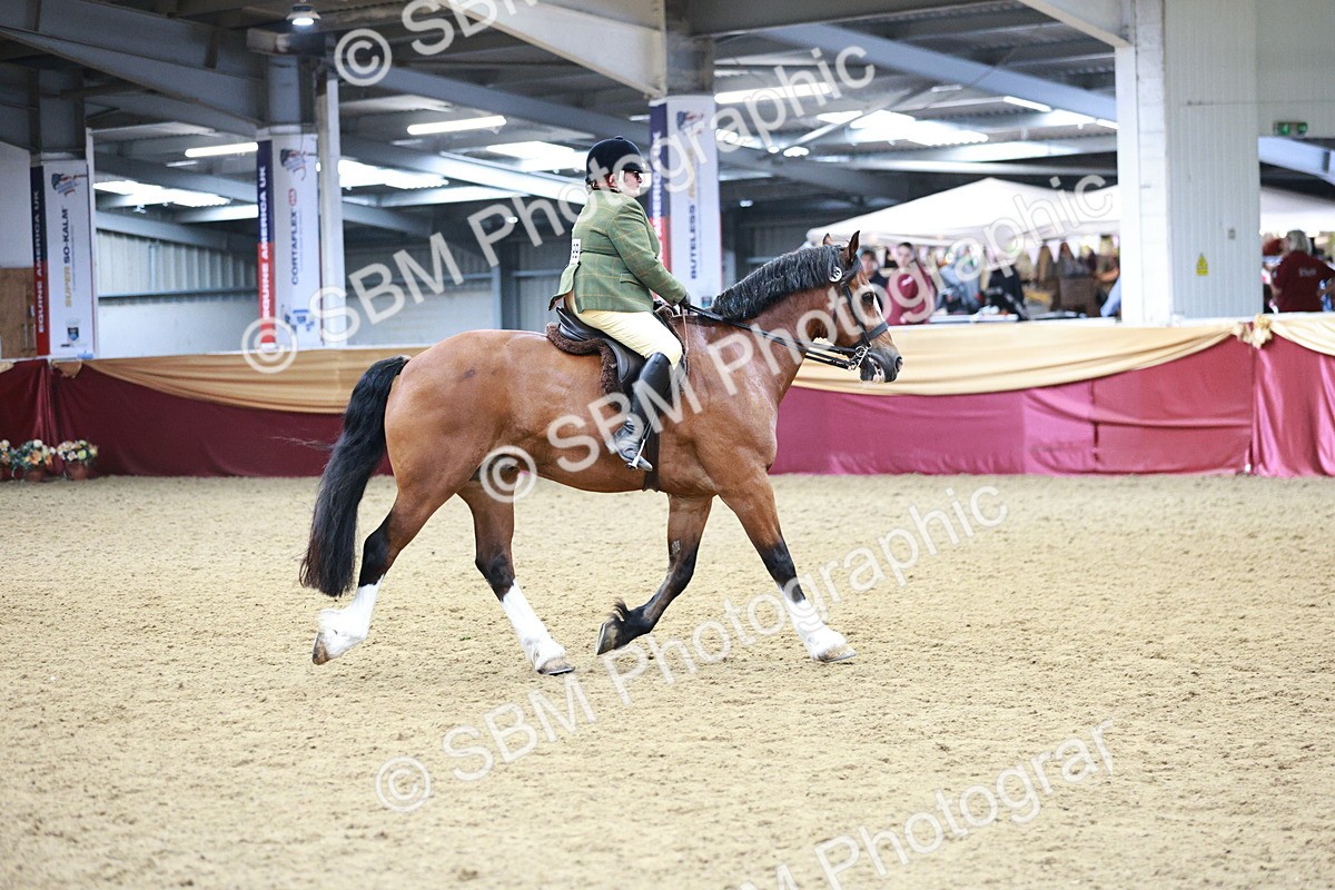 SBM_03619 - Class 6A Area Ridden Pre-Vet