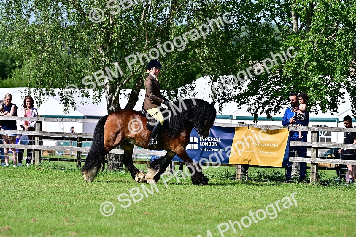 SBM_09355 - Class 63-65 - Traditional Gypsy Cobs In Hand & Ridden