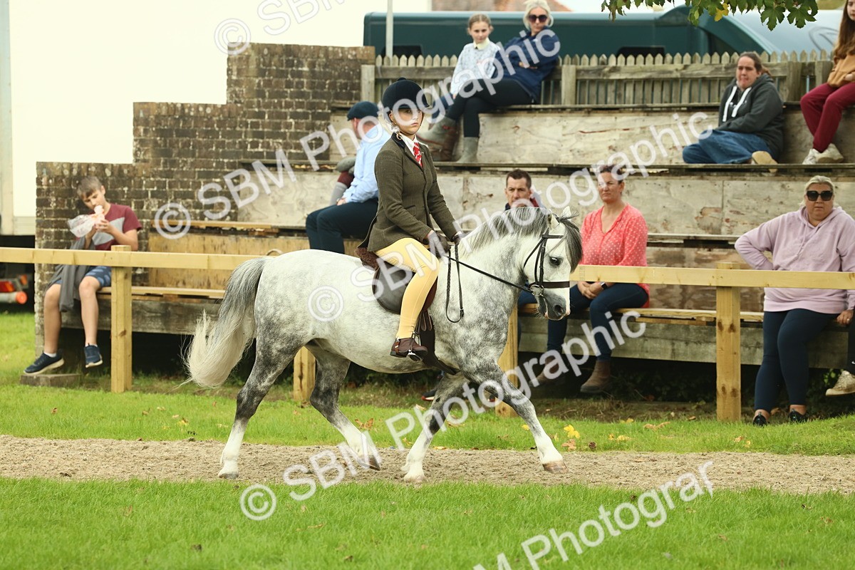 SBM_69853 - S59 - Mountain & Moorland Ridden Small Breeds