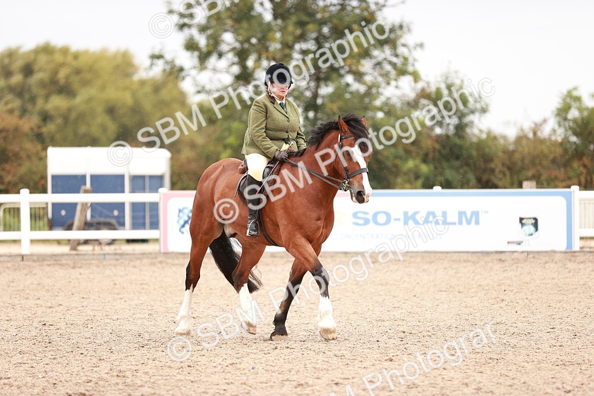 SBM_19025 - Class 422 - Ridden M&M