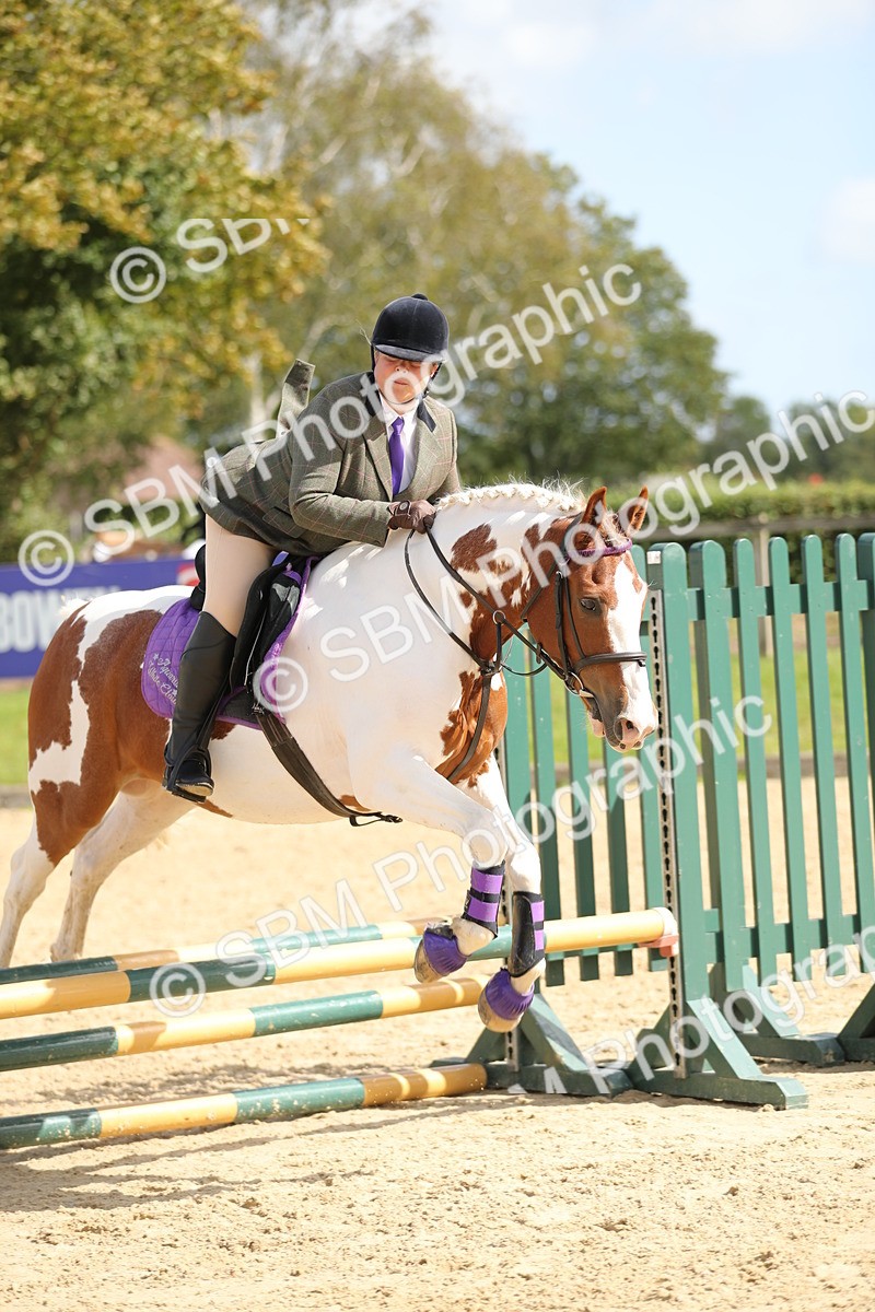 SBM_05758 - J35 - Veteran Rider 60cm