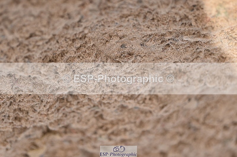 231015A-132118-08309 - Cls 25 95cm Amateur Q 2nd R