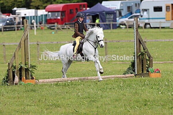 IMG_2363 - Working Hunter
