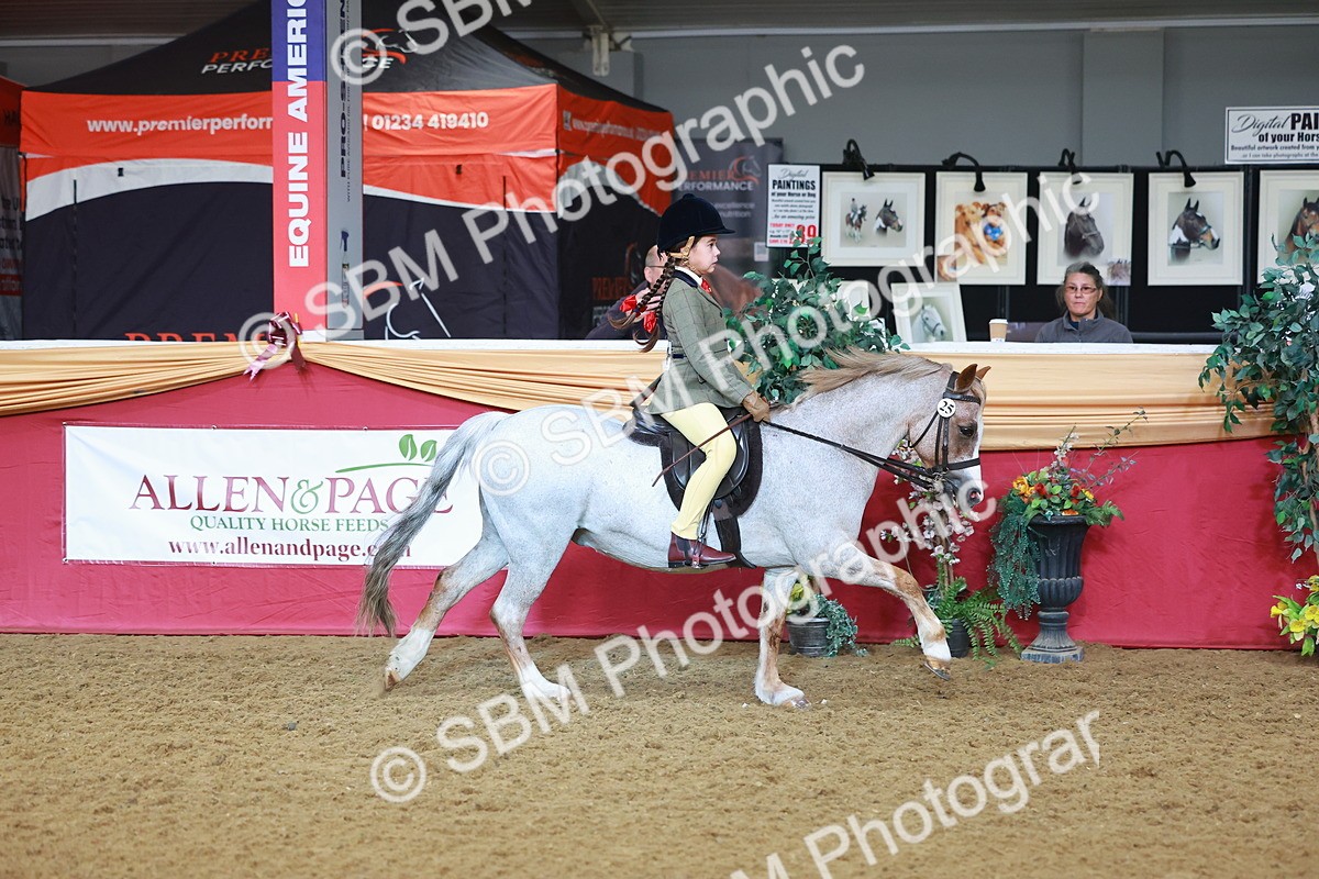 SBM_07613 - Class 101 - HOYS Veteran Qualifier - Ridden Diamond