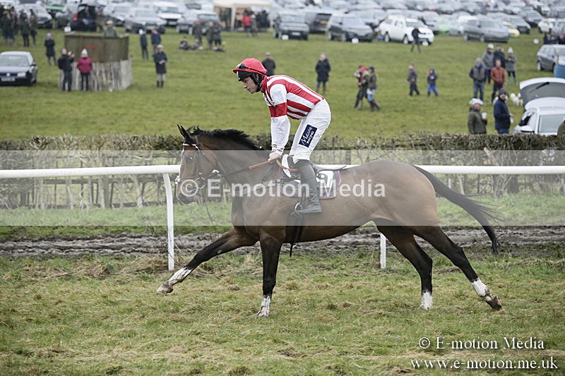 PtP 020418 -126 - Old Berks Point-to-Point Races Easter Monday 02/04/18