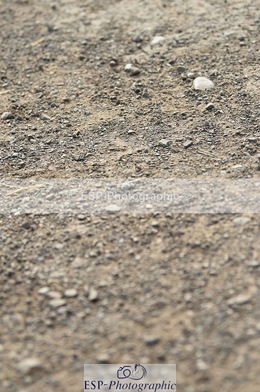 230817-095058-01679 - Kay's 1st Group - Arena