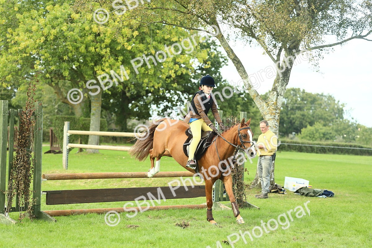 SBM_44648 - S31 - Working Hunter Pony