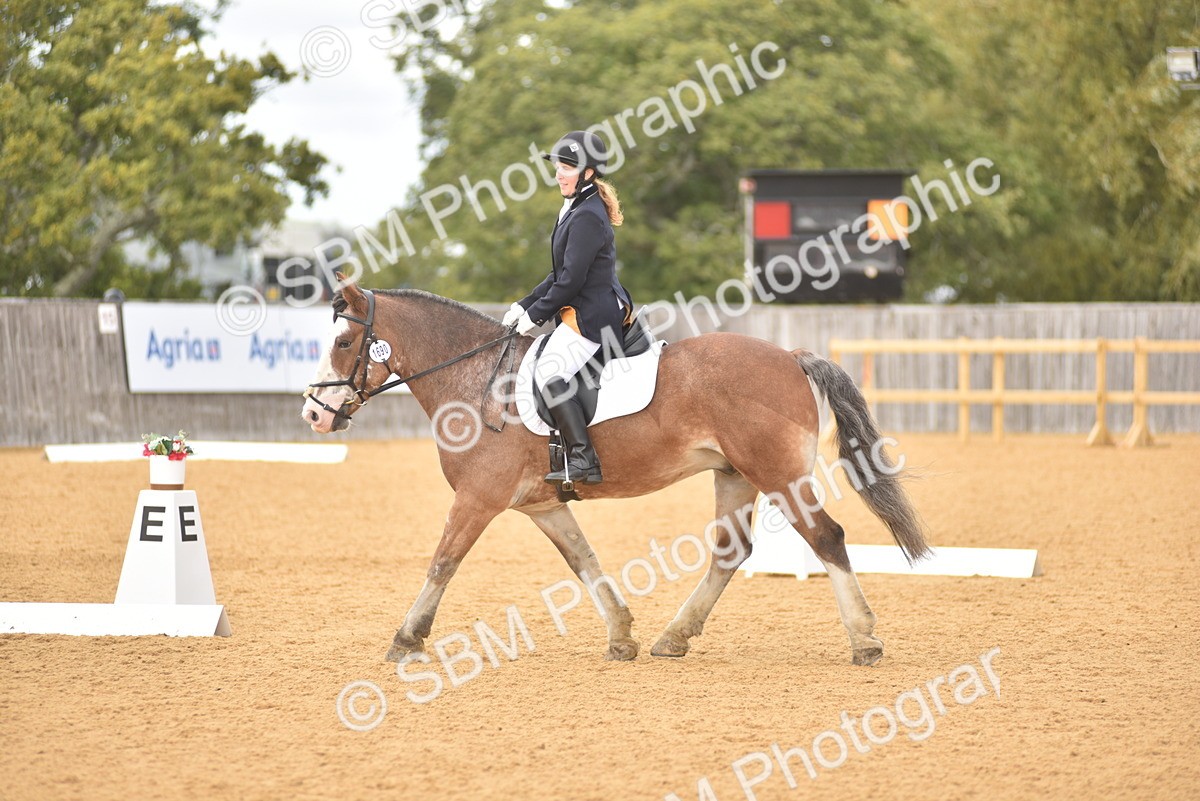 SBM_19869 - D4 - Small Tour Championship Intro 4