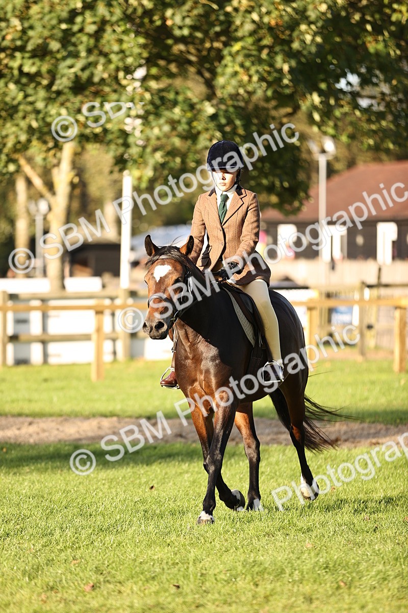 SBM_29614 - S7 - Novice & Newcomers Ridden Pony
