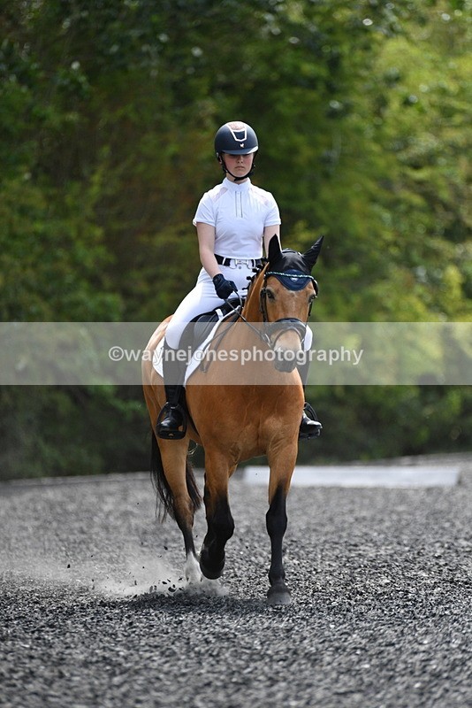 WJ5_0993 - Time 13:45 to 14:20