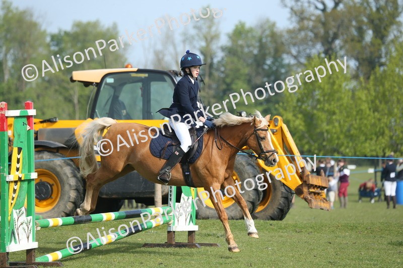 20260426-0157 - Class 13 - Rookie Jumping 50cm