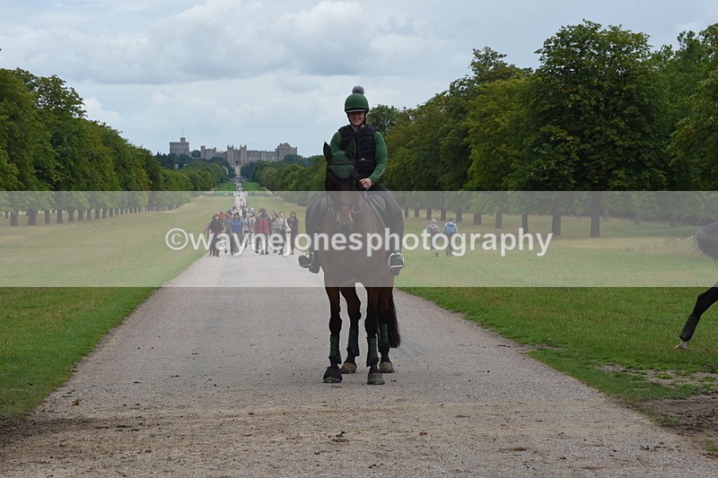 TT3_9909 - Time at Crossing 11:28 to 13:16