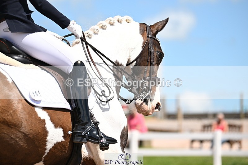 240621A-140818-04211 - Cls 8 BD Elementary 53