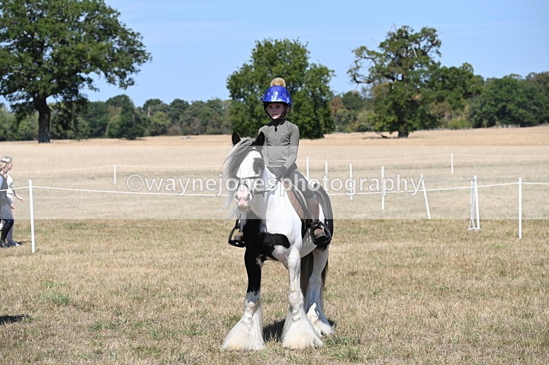 WJ6_9020 - Class 38 Ridden Riding Horse/Pony