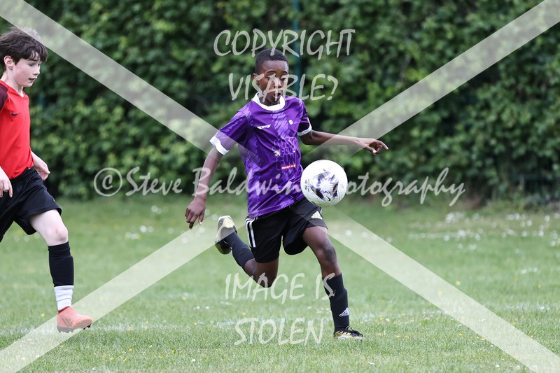1DX31286 - Brook Field V Goddard Park