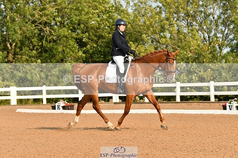 250817-085907-06715 - 080-Elizabeth.StoneZiggy