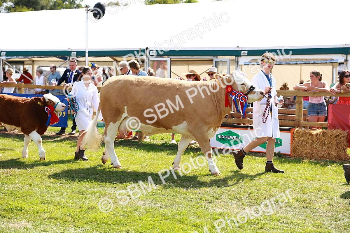 SBM_08434 - Grand Parade