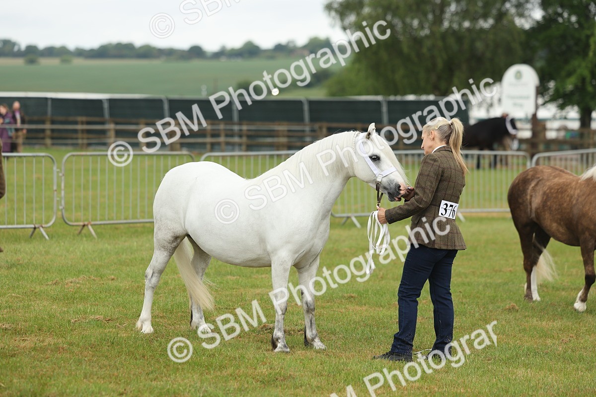 SBM_01605 - Class 50-57 - M&M Welsh Pony In Hand