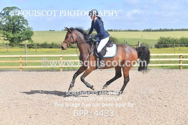 BPP_4433 - CLASS 2  Club/ Unaffiliated 80cms Open