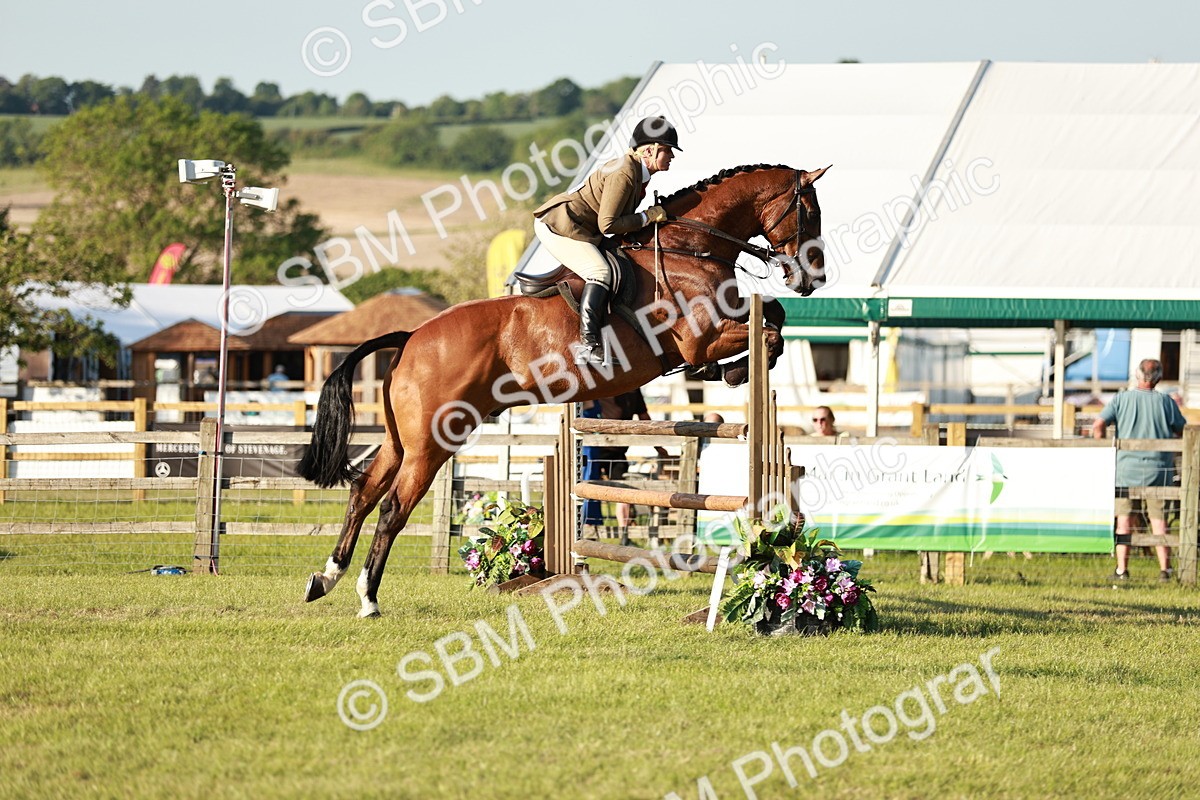 SBM_20395 - Class 117-119 - Sport Horse Working Hunter