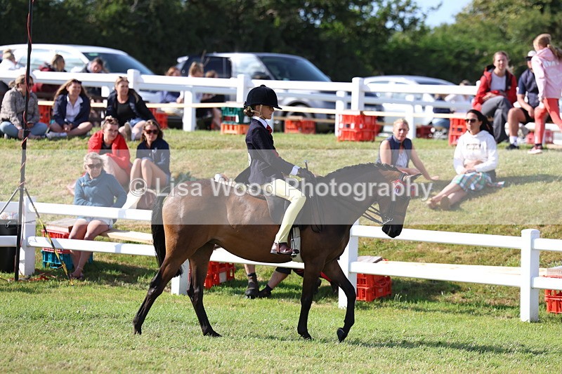 3E7A3775 - Supreme Championship