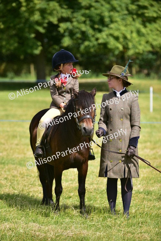 20260614-1198 - Class 11a - Lead Rein Pony (Unplaited)