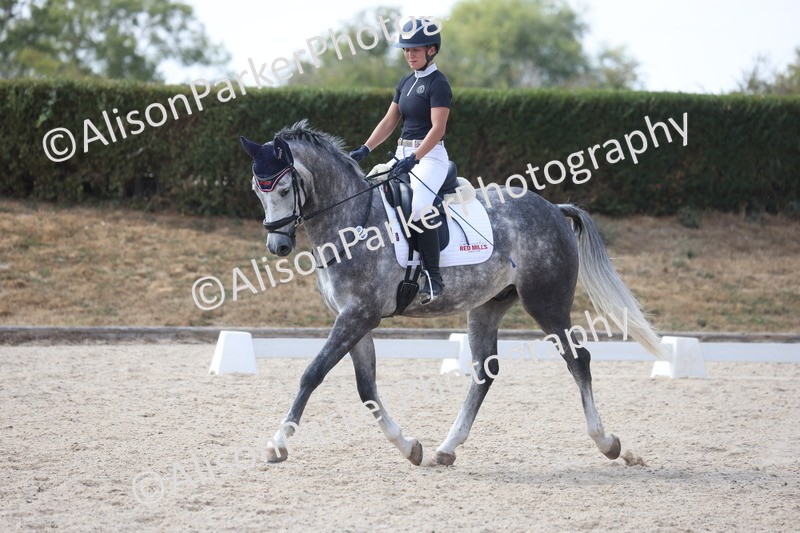 20260815-1009 - Class 5 - Novice 1