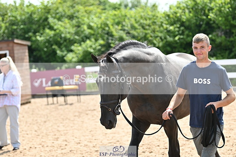 240717A-154426-03025 - Trot Up 3pm to 4pm