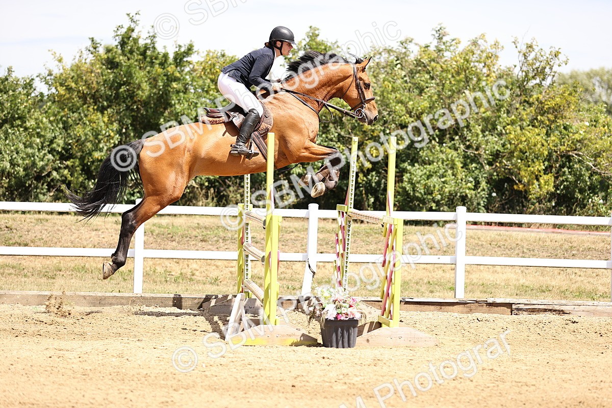 SBM_010251 - Class 9 - Senior Foxhunter - 1.20m Open