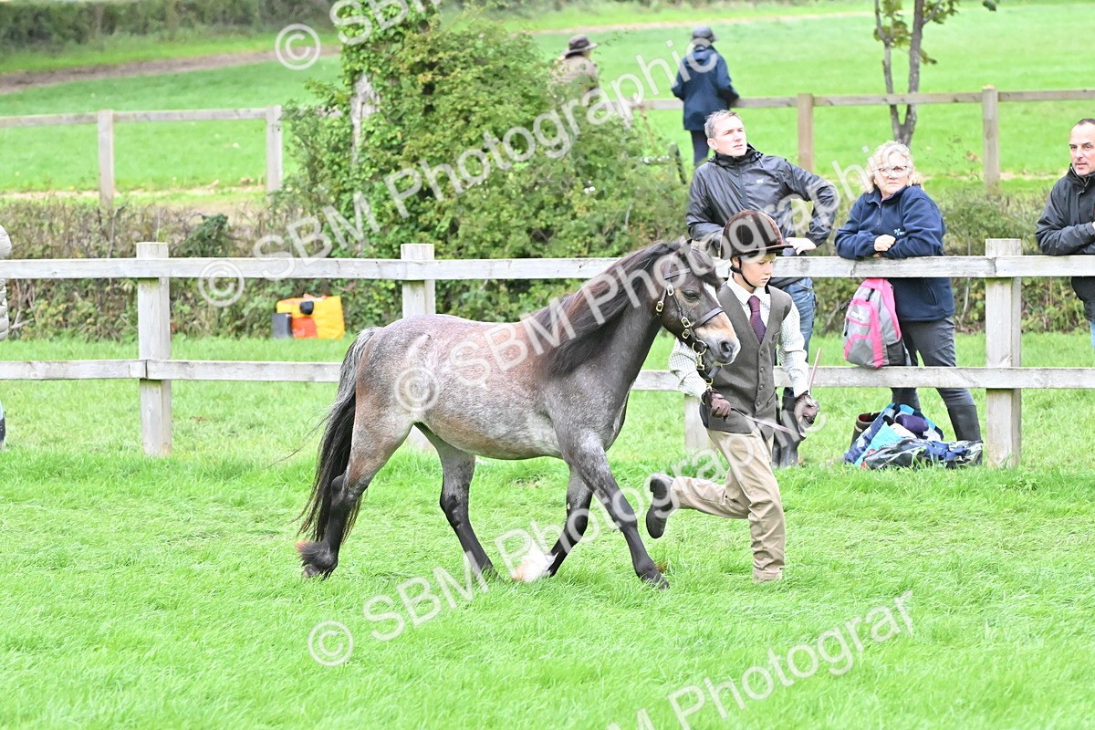 SBM_68552 - S42 - Junior Handler 9-12 Years