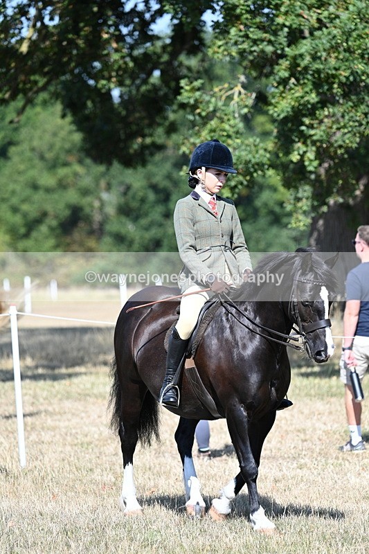 WJ7_3395 - Class 9 Mountain & Moorland Ridden