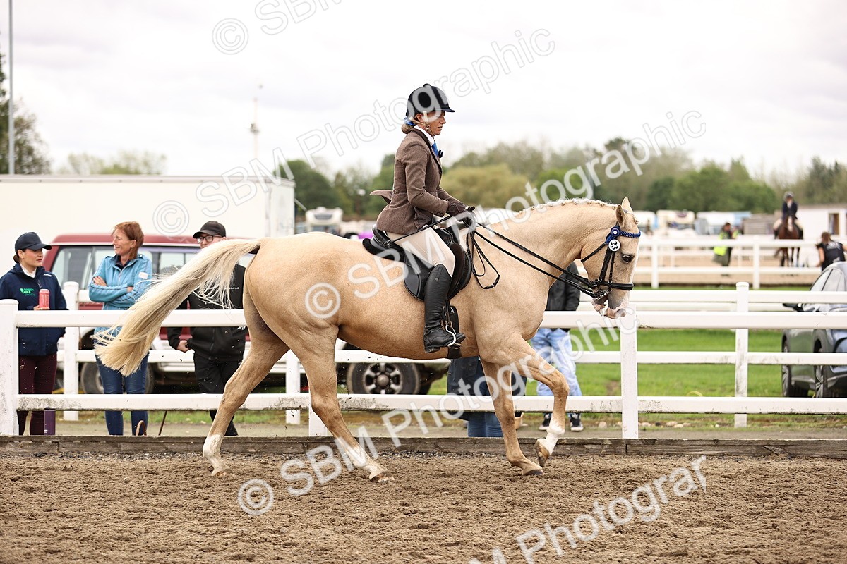 SBM_01413 - Class 54 - Riding Club Horse Pony