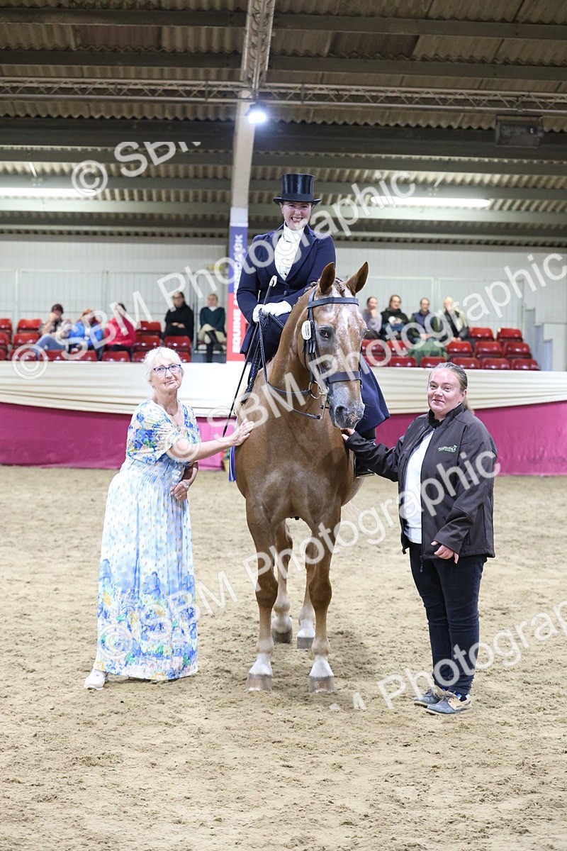 SBM_20986 - Class N - Side Saddle Champ