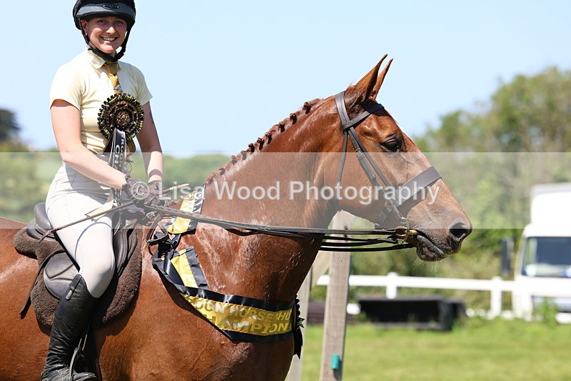3E7A8123 - Working Hunter Championship