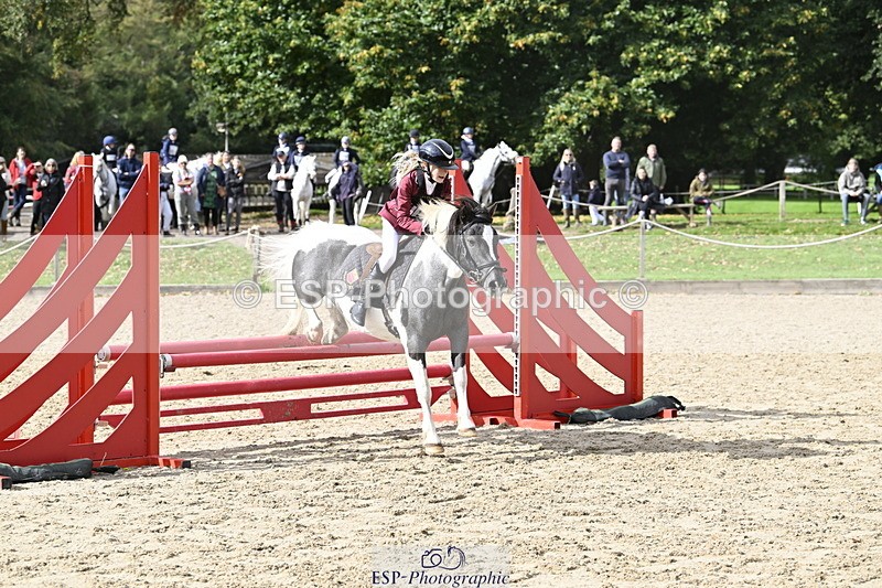 251005A-122157-03743 - Cls 08 Mini 70-75cm