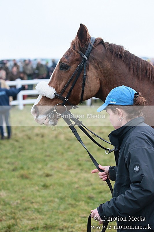 PtP 170219 -362 - Combined Services Point-To-Point Larkhill 17/02/19