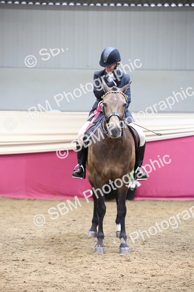 SBM_23243 - Class 905 - Supreme Final - Ridden Veteran