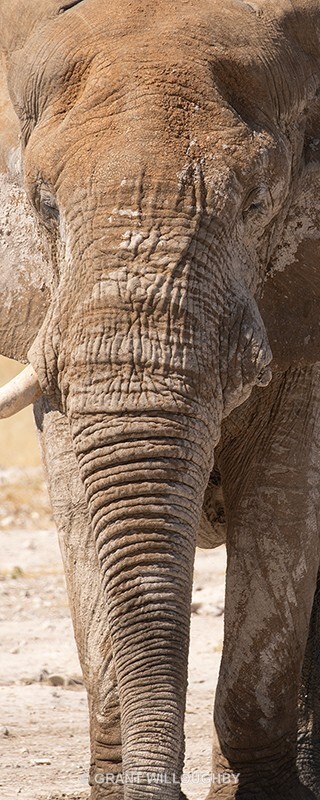  - Namibia
