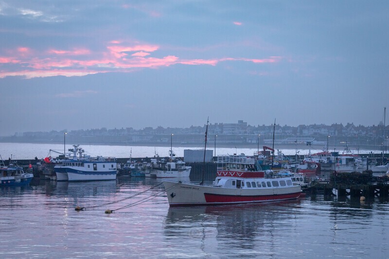 The Yorkshire Belle - Latest Images