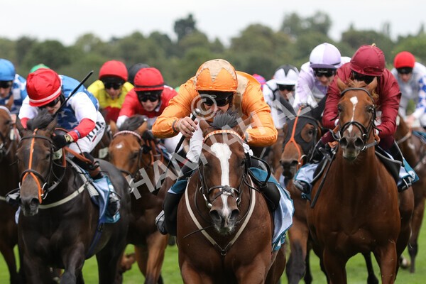 yr17082022r7-25 - Race 7 5.20pm Sky Bet Nursery Handicap