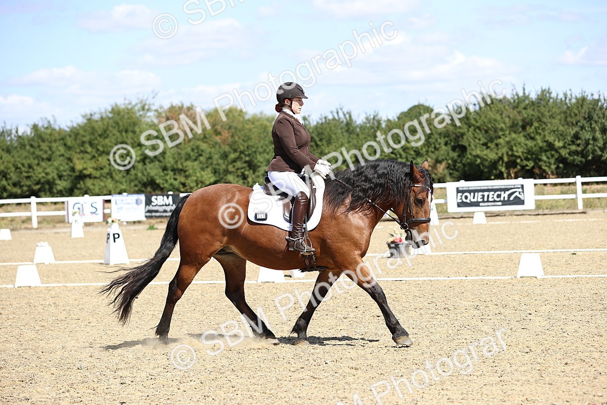 SBM_013947 - Class 2 - P5 Silver 11.20.12.23