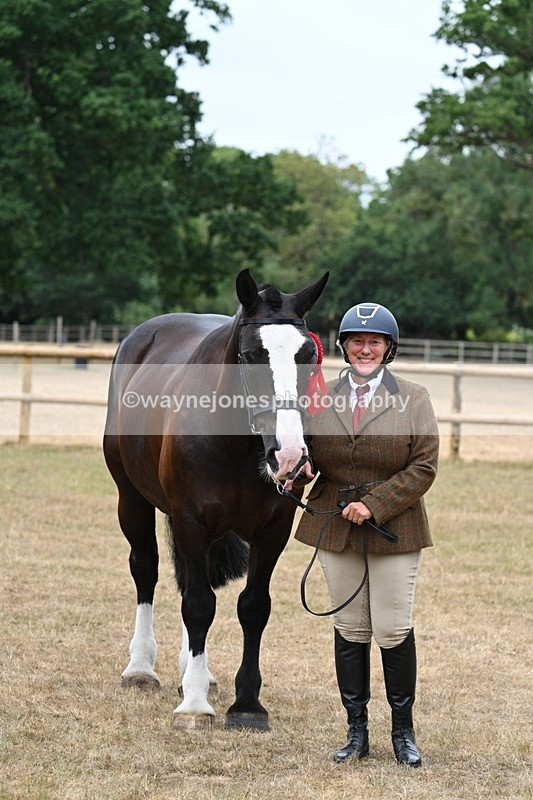 WJ7_0188 - Class 5a Most Handsome Gelding (above 14.2hh)