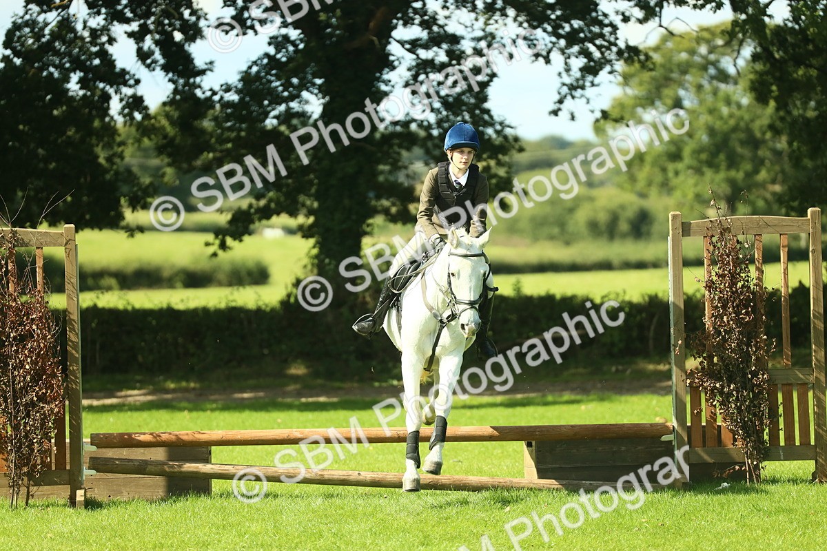 SBM_39276 - S29 - Novice & Newcomers Working Hunter Pony