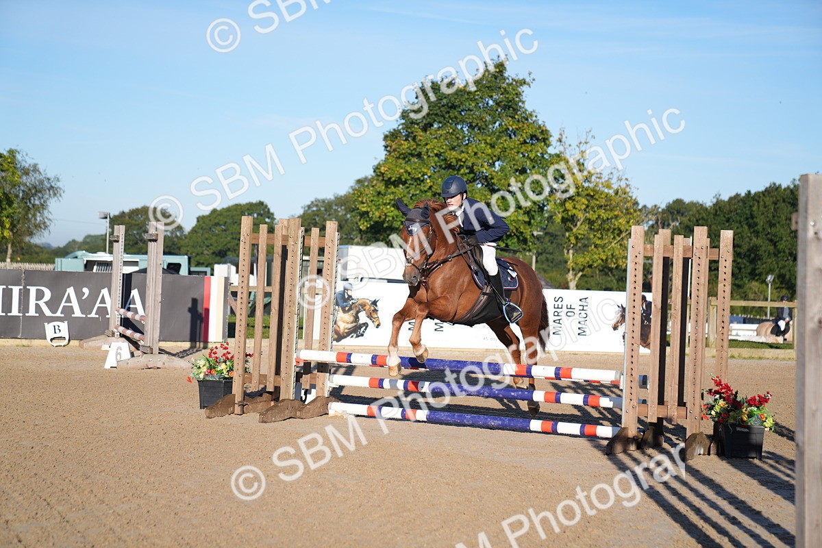 SBM_13976 - J59 - Clear Round - 65cm